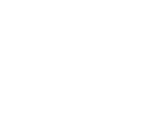 project-image